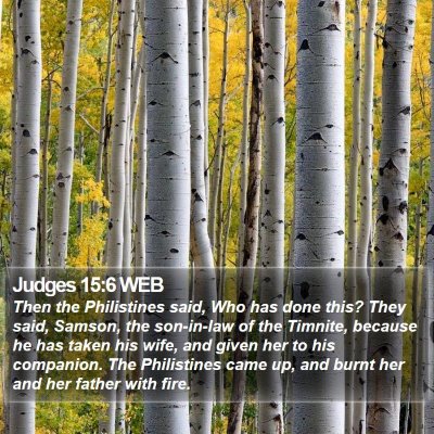 Judges 15:6 WEB Bible Verse Image