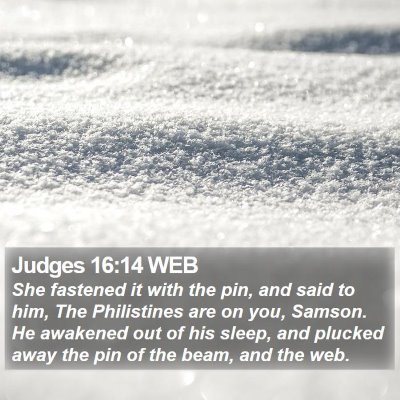Judges 16:14 WEB Bible Verse Image
