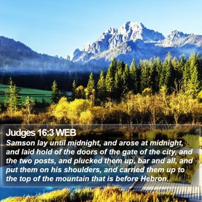 Judges 16:3 WEB Bible Verse Image