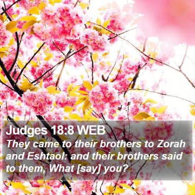 Judges 18:8 WEB Bible Verse Image