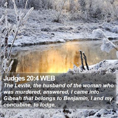 Judges 20:4 WEB Bible Verse Image