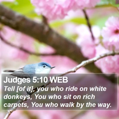 Judges 5:10 WEB Bible Verse Image