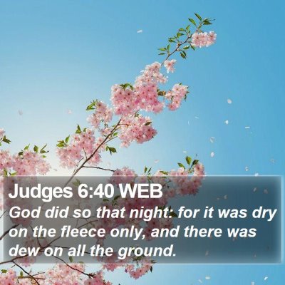 Judges 6:40 WEB Bible Verse Image