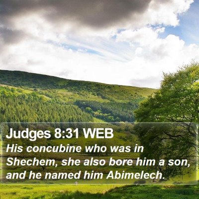 Judges 8:31 WEB Bible Verse Image