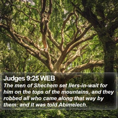 Judges 9:25 WEB Bible Verse Image