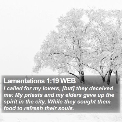 Lamentations 1:19 WEB Bible Verse Image