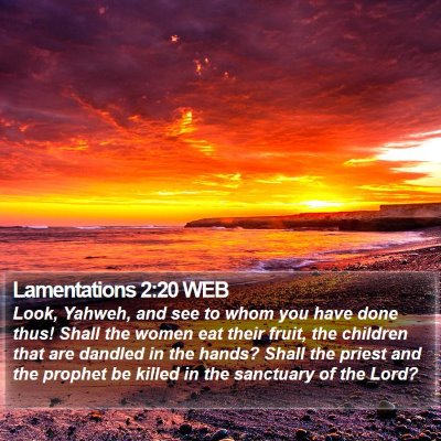 Lamentations 2:20 WEB Bible Verse Image