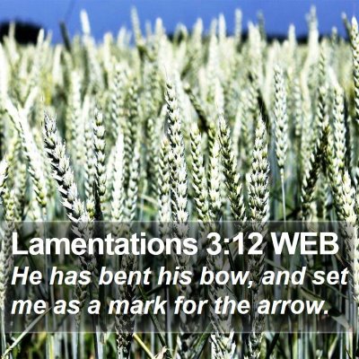 Lamentations 3:12 WEB Bible Verse Image
