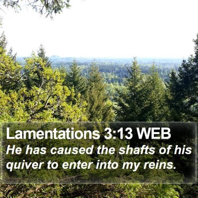 Lamentations 3:13 WEB Bible Verse Image