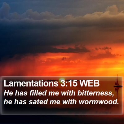 Lamentations 3:15 WEB Bible Verse Image