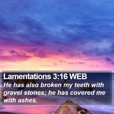 Lamentations 3:16 WEB Bible Verse Image