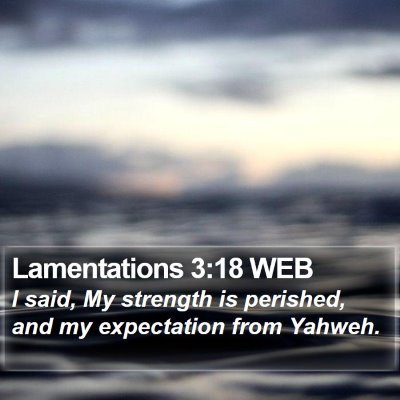 Lamentations 3:18 WEB Bible Verse Image