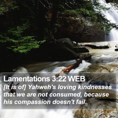 Lamentations 3:22 WEB Bible Verse Image