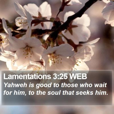 Lamentations 3:25 WEB Bible Verse Image