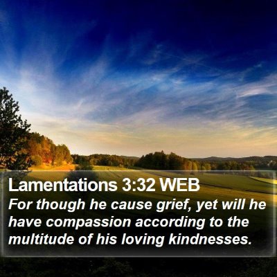 Lamentations 3:32 WEB Bible Verse Image