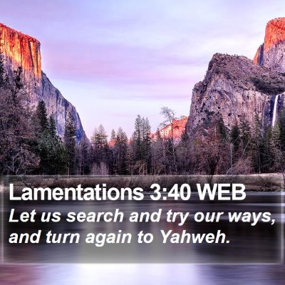 Lamentations 3:40 WEB Bible Verse Image