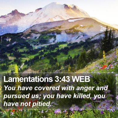 Lamentations 3:43 WEB Bible Verse Image
