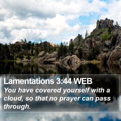 Lamentations 3:44 WEB Bible Verse Image