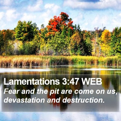 Lamentations 3:47 WEB Bible Verse Image