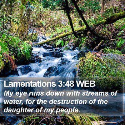 Lamentations 3:48 WEB Bible Verse Image