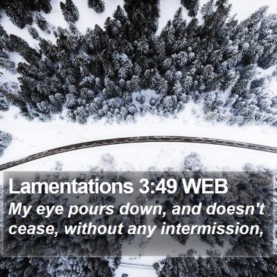 Lamentations 3:49 WEB Bible Verse Image