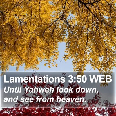 Lamentations 3:50 WEB Bible Verse Image