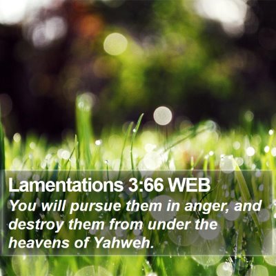 Lamentations 3:66 WEB Bible Verse Image