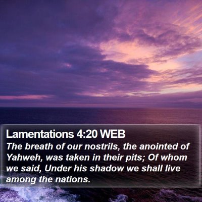 Lamentations 4:20 WEB Bible Verse Image