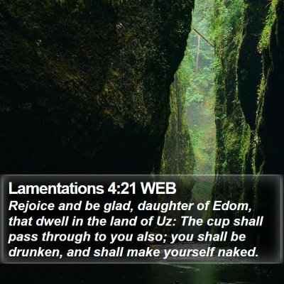 Lamentations 4:21 WEB Bible Verse Image