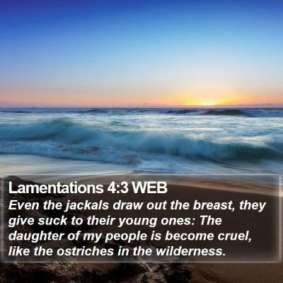 Lamentations 4:3 WEB Bible Verse Image