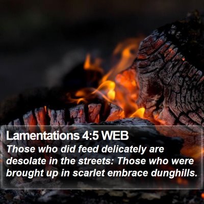 Lamentations 4:5 WEB Bible Verse Image