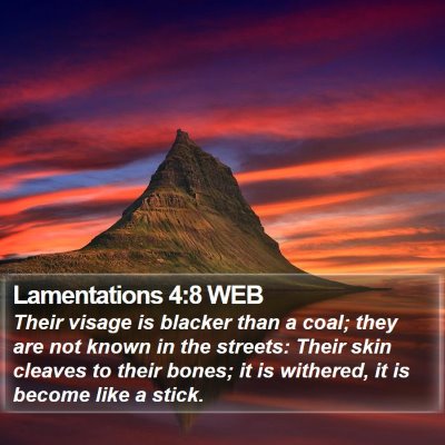 Lamentations 4:8 WEB Bible Verse Image