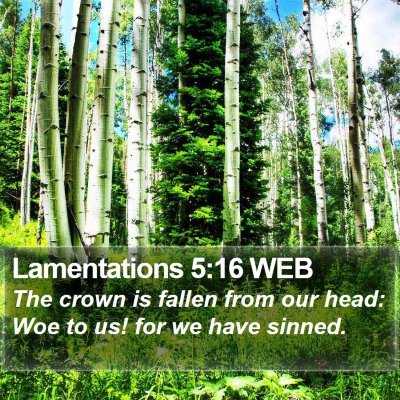 Lamentations 5:16 WEB Bible Verse Image