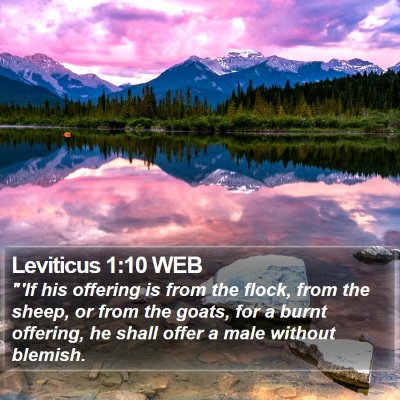 Leviticus 1:10 WEB Bible Verse Image
