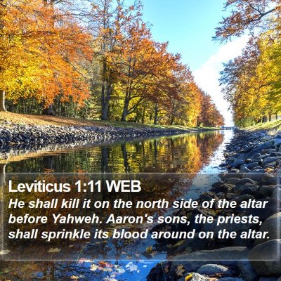 Leviticus 1:11 WEB Bible Verse Image