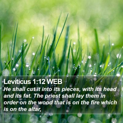 Leviticus 1:12 WEB Bible Verse Image