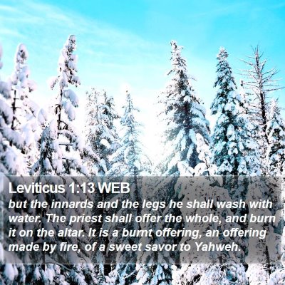 Leviticus 1:13 WEB Bible Verse Image