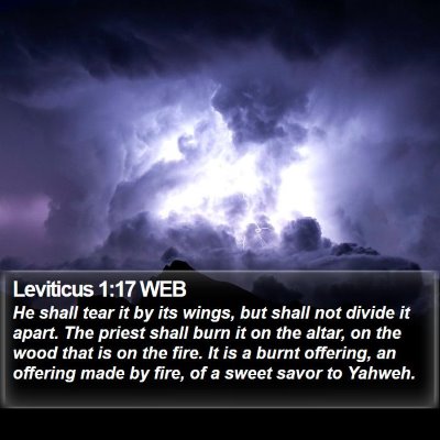 Leviticus 1:17 WEB Bible Verse Image