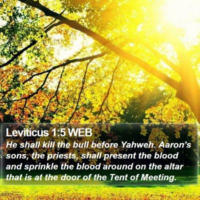 Leviticus 1:5 WEB Bible Verse Image