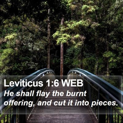 Leviticus 1:6 WEB Bible Verse Image