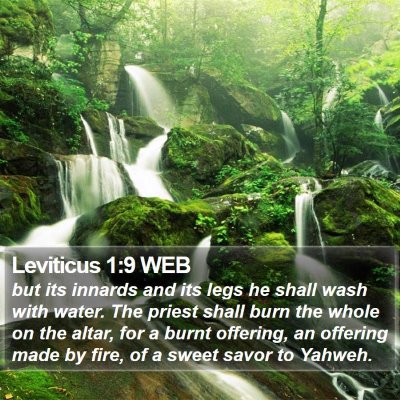 Leviticus 1:9 WEB Bible Verse Image