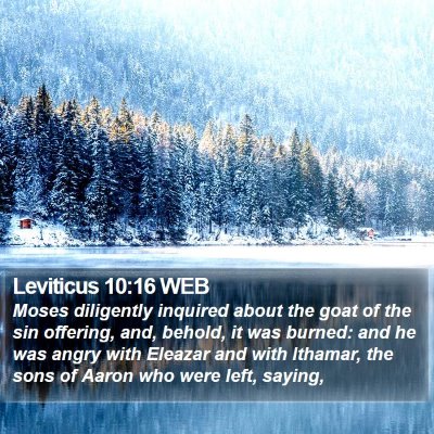 Leviticus 10:16 WEB Bible Verse Image