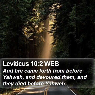 Leviticus 10:2 WEB Bible Verse Image