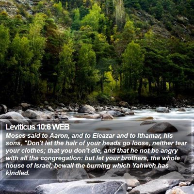 Leviticus 10:6 WEB Bible Verse Image