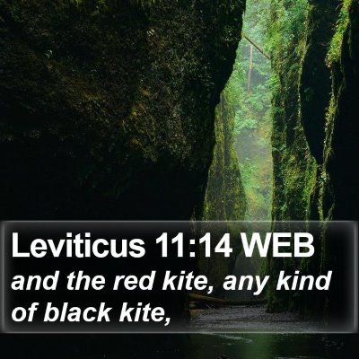 Leviticus 11:14 WEB Bible Verse Image