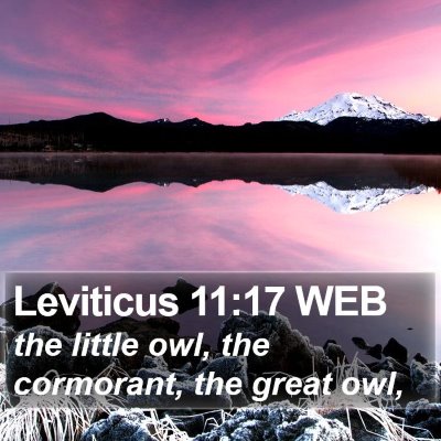 Leviticus 11:17 WEB Bible Verse Image