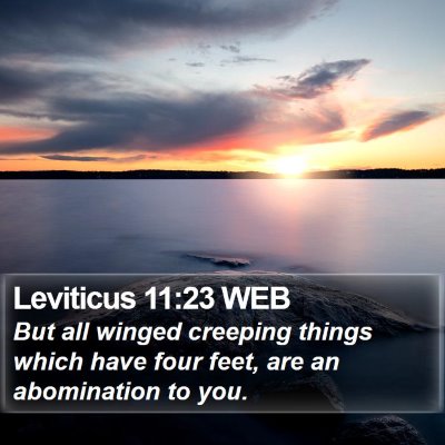 Leviticus 11:23 WEB Bible Verse Image