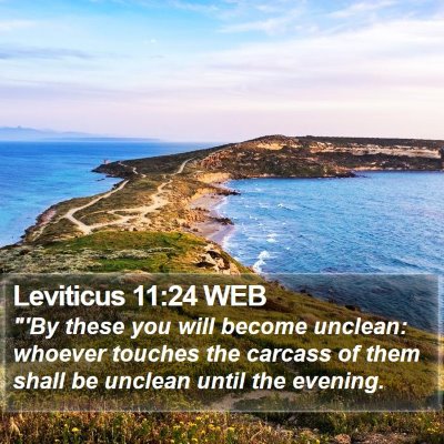 Leviticus 11:24 WEB Bible Verse Image