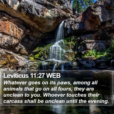 Leviticus 11:27 WEB Bible Verse Image