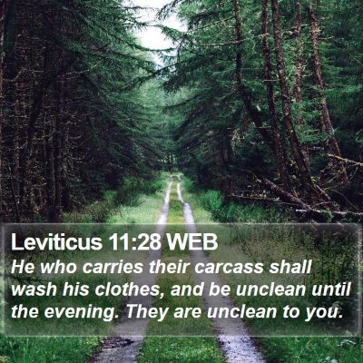 Leviticus 11:28 WEB Bible Verse Image